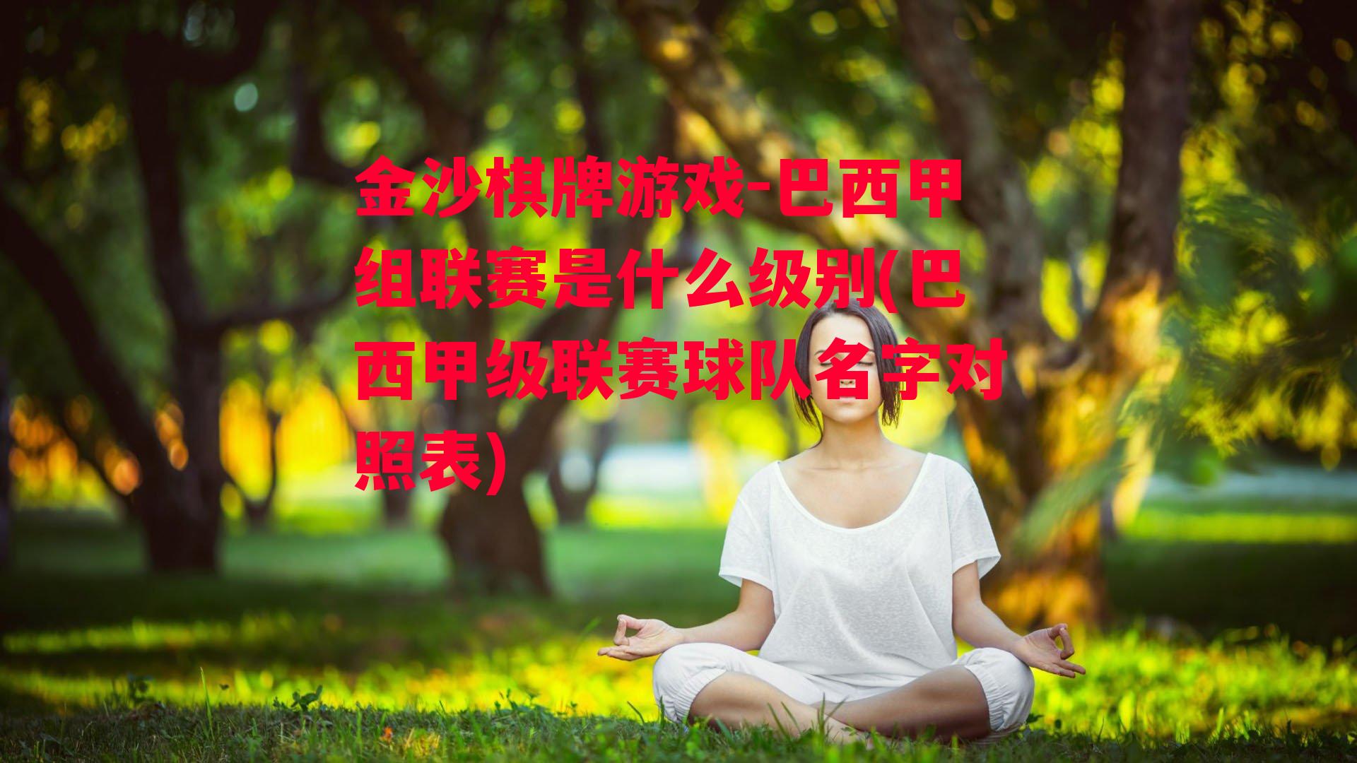 巴西甲组联赛是什么级别(巴西甲级联赛球队名字对照表)